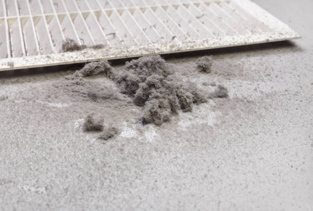Best Commercial Air Duct Cleaning  in Bellevue, IL
