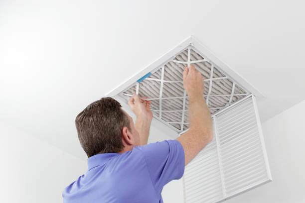 Best Affordable Duct Cleaning Services  in Bellevue, IL